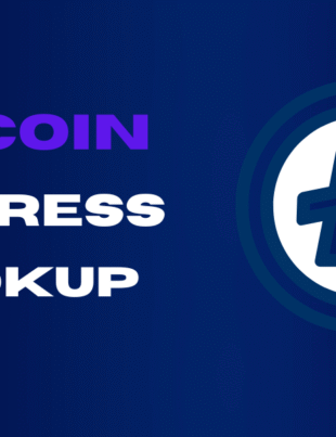 A dark blue graphic with the text 'LITECOIN ADDRESS LOOKUP' and the white-and-blue Litecoin logo.